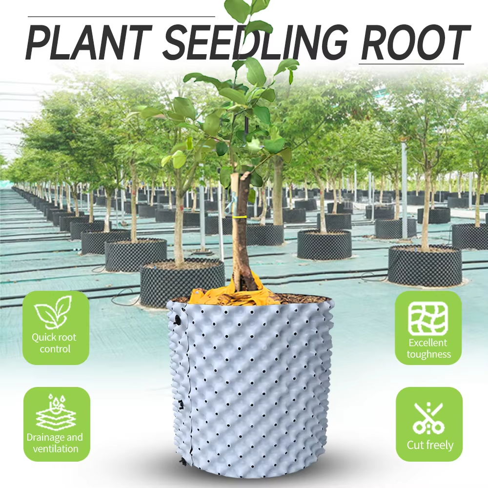 Aloe Vera Pot - Thickened Enlarged Dual Color Root Control