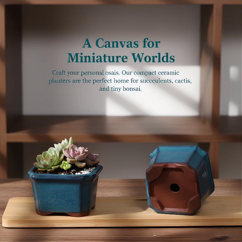 Echeveria Succulent - 3PCS Mini Plant Pots for Succulents