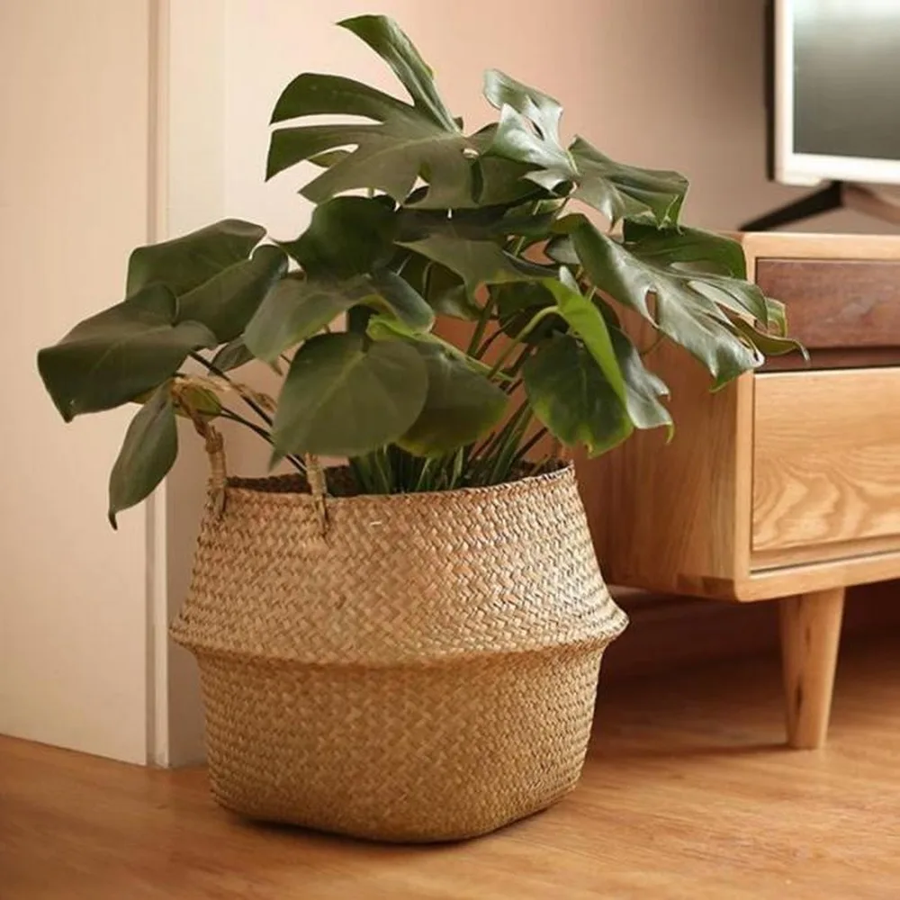 Aloe Vera Pot - Large Seagrass Wickerwork Basket Rattan Hanging