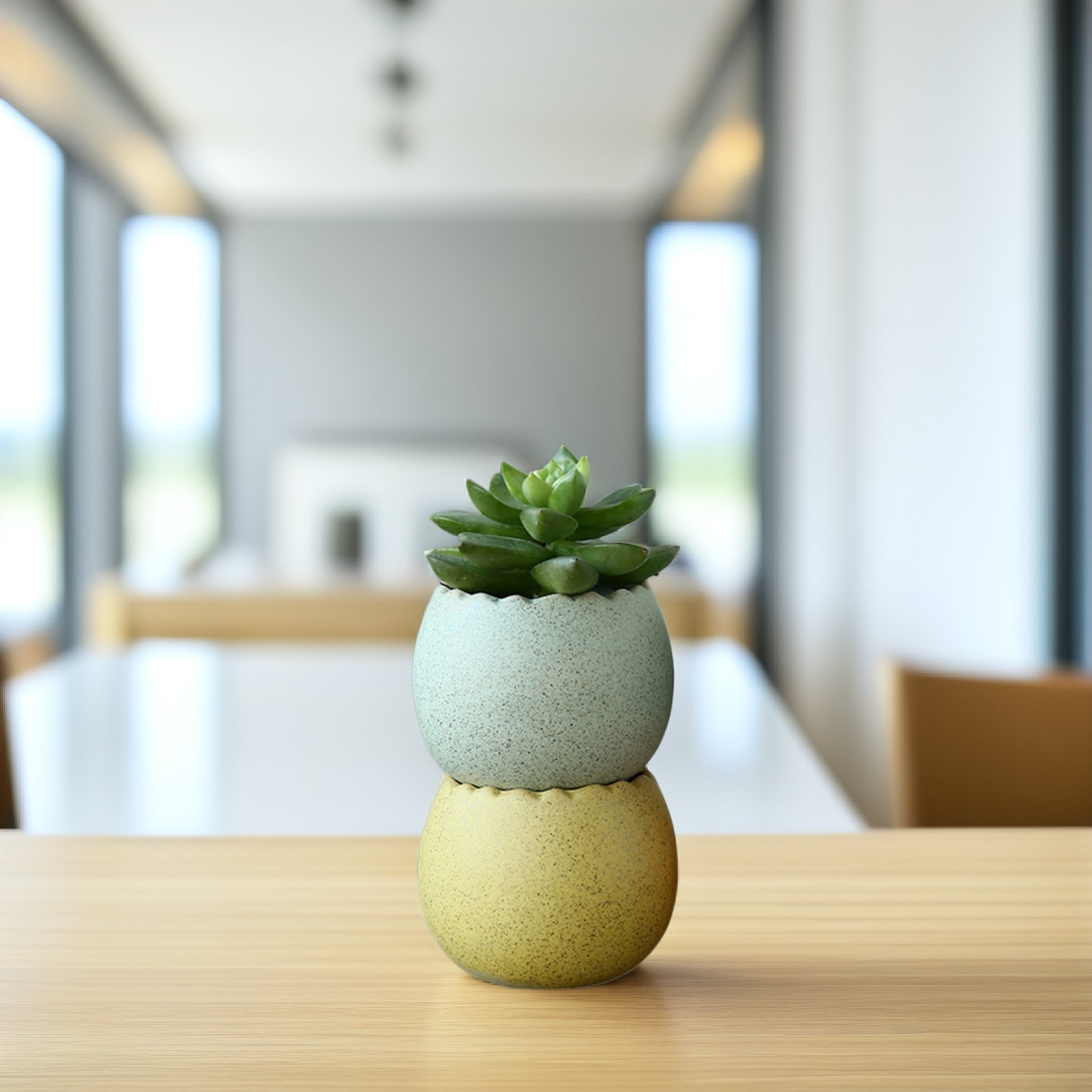 6Pcs Stylish Ceramic Mini Pots - огляд і ціна Aloe Vera Pot