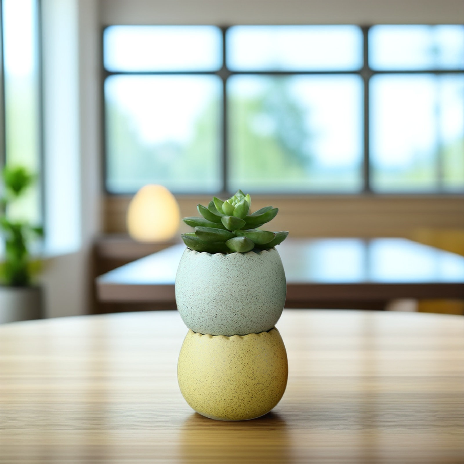 6Pcs Stylish Ceramic Mini Pots - огляд і ціна Aloe Vera Pot