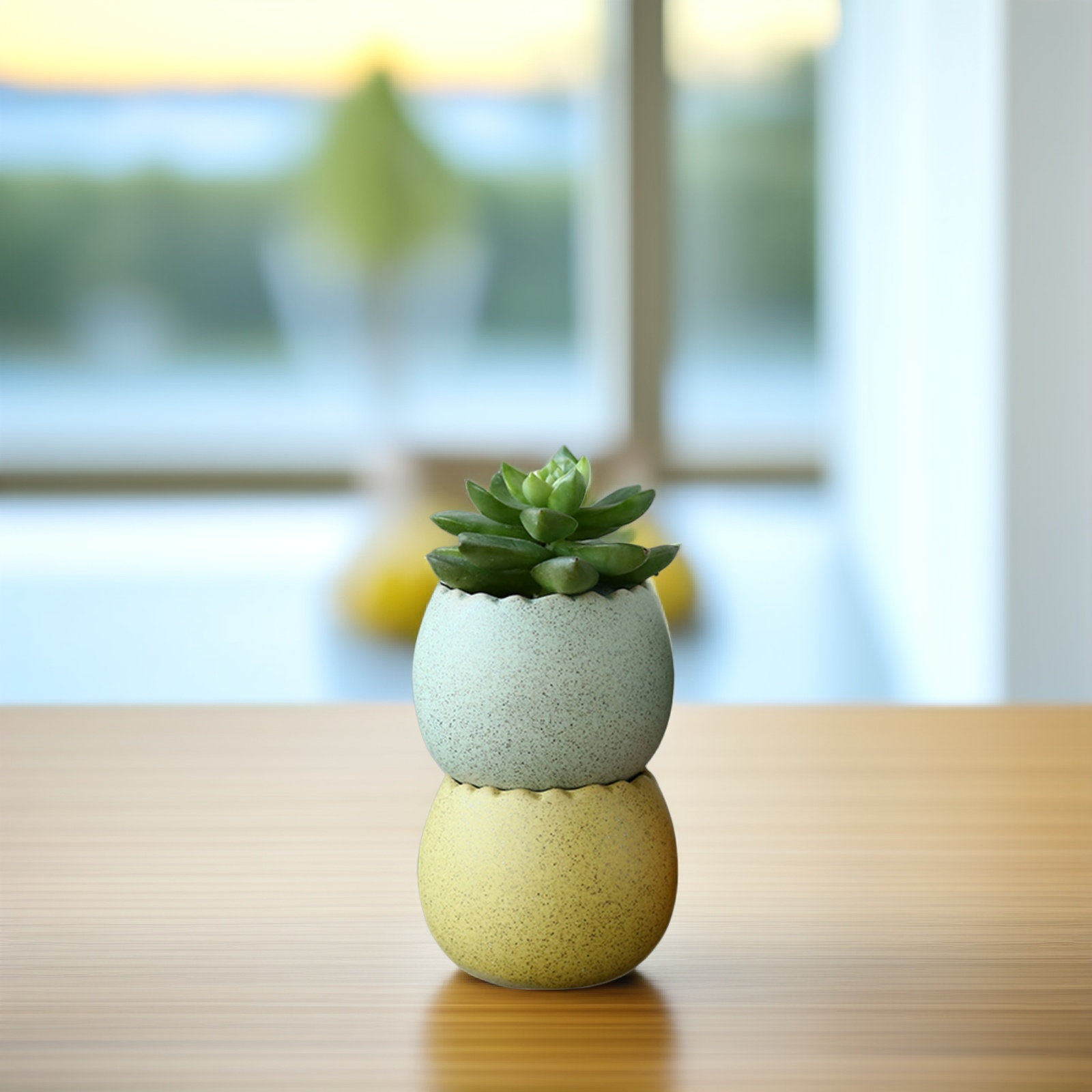 6Pcs Stylish Ceramic Mini Pots - огляд і ціна Aloe Vera Pot
