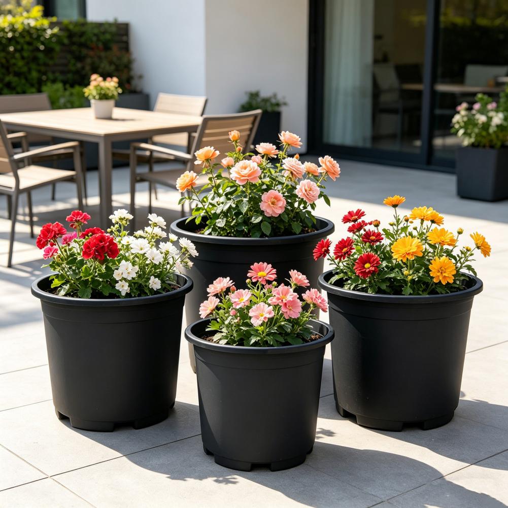 Indoor Plant Pot Black Plastic - огляд і ціна Aloe Vera Pot