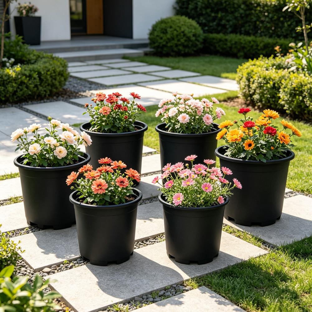 Indoor Plant Pot Black Plastic - огляд і ціна Aloe Vera Pot