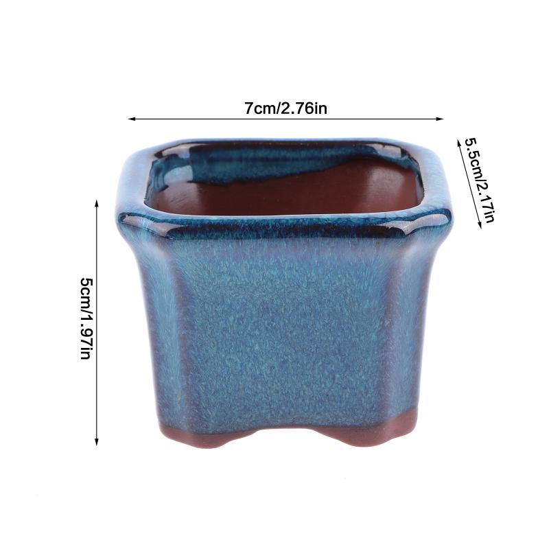 3PCS Mini Plant Pots for Succu - огляд і ціна Echeveria Succulent