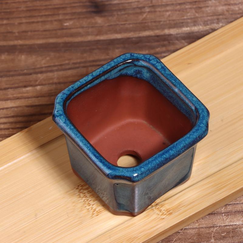 3PCS Mini Plant Pots for Succu - огляд і ціна Echeveria Succulent