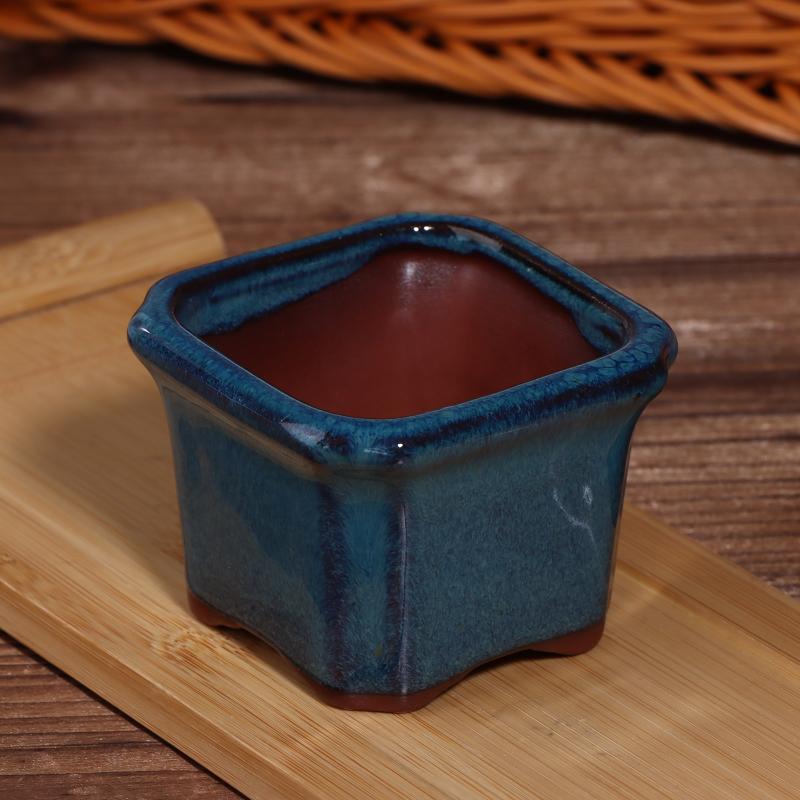 3PCS Mini Plant Pots for Succu - огляд і ціна Echeveria Succulent
