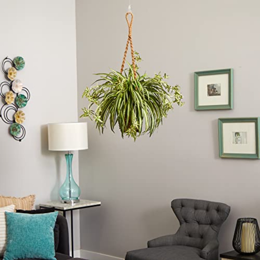 Spider Plant Hanging Basket - огляд і ціна Spider Plant Hanging