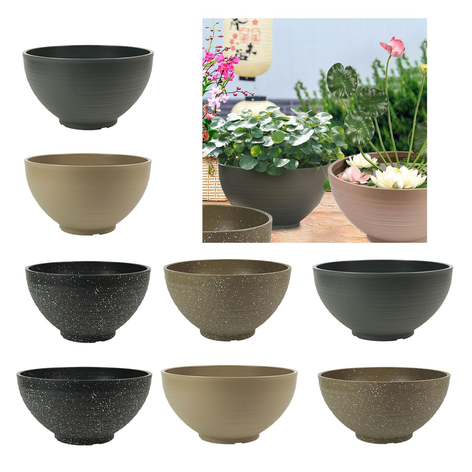 Garden Large-capacity Bowl Pla - огляд і ціна Aloe Vera Pot