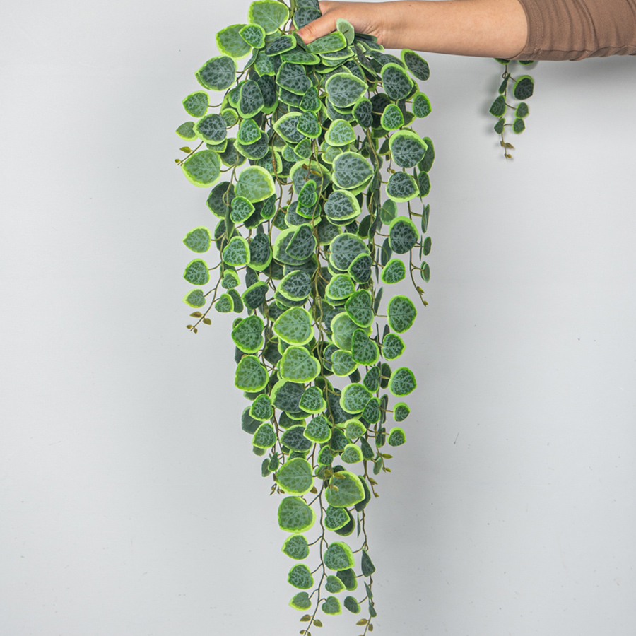 60-80cm Artificial Hanging Vin - огляд і ціна Pilea Peperomioides