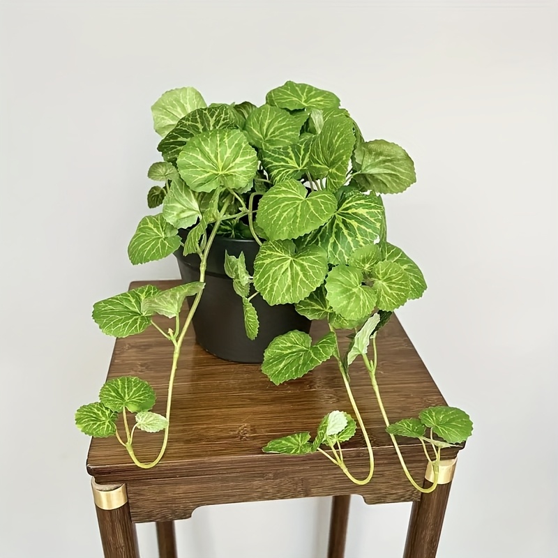 An artificial hanging vine pla - огляд і ціна Pilea Peperomioides