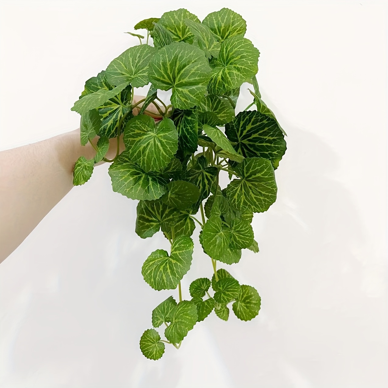 An artificial hanging vine pla - огляд і ціна Pilea Peperomioides