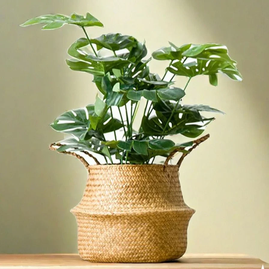 Large Seagrass Wickerwork Bask - огляд і ціна Aloe Vera Pot