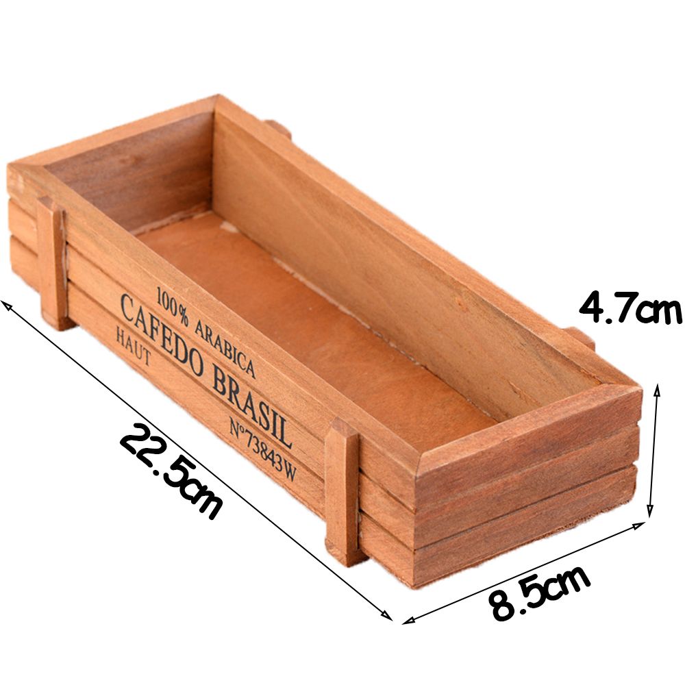 1 PC Tools Garden Decor Trough - огляд і ціна Pilea Peperomioides