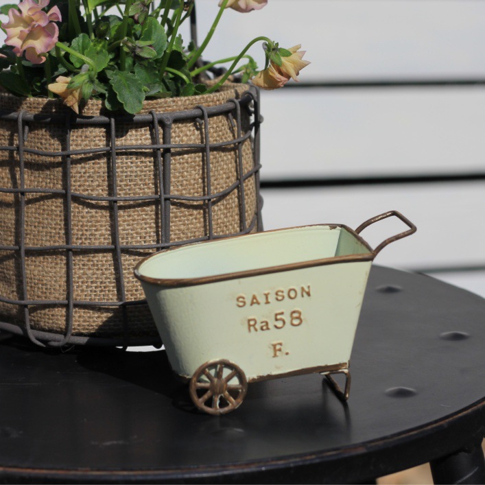 Vintage Iron Two-Wheel Cart Pl - огляд і ціна Pilea Peperomioides