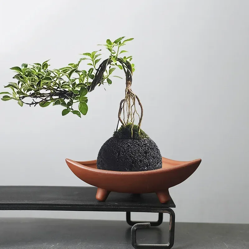 Personalized Ceramic Flower Po - огляд і ціна Pilea Peperomioides