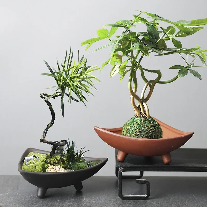Personalized Ceramic Flower Po - огляд і ціна Pilea Peperomioides