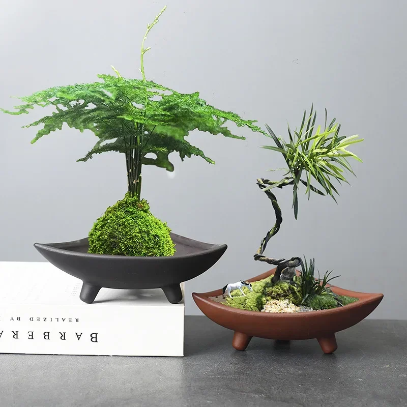Personalized Ceramic Flower Po - огляд і ціна Pilea Peperomioides