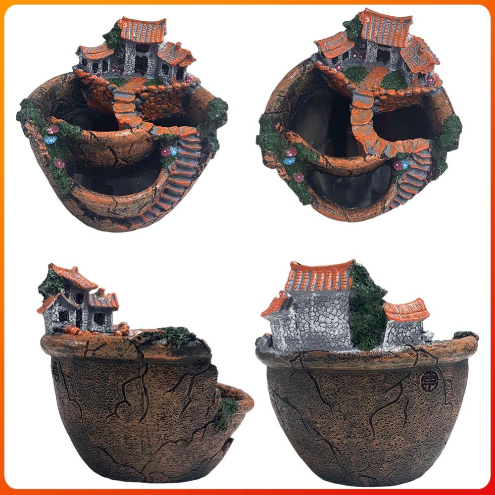 Succulent Pot Vintage Multi Po - огляд і ціна Echeveria Succulent