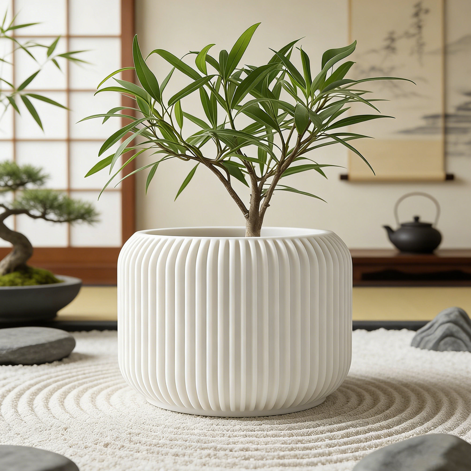 Modern Minimalist 3D Printed P - огляд і ціна Aloe Vera Pot