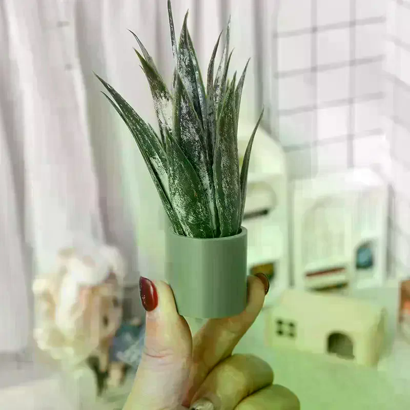 Dollhouse Decor Mini Aloe Vera - огляд і ціна Aloe Vera Pot