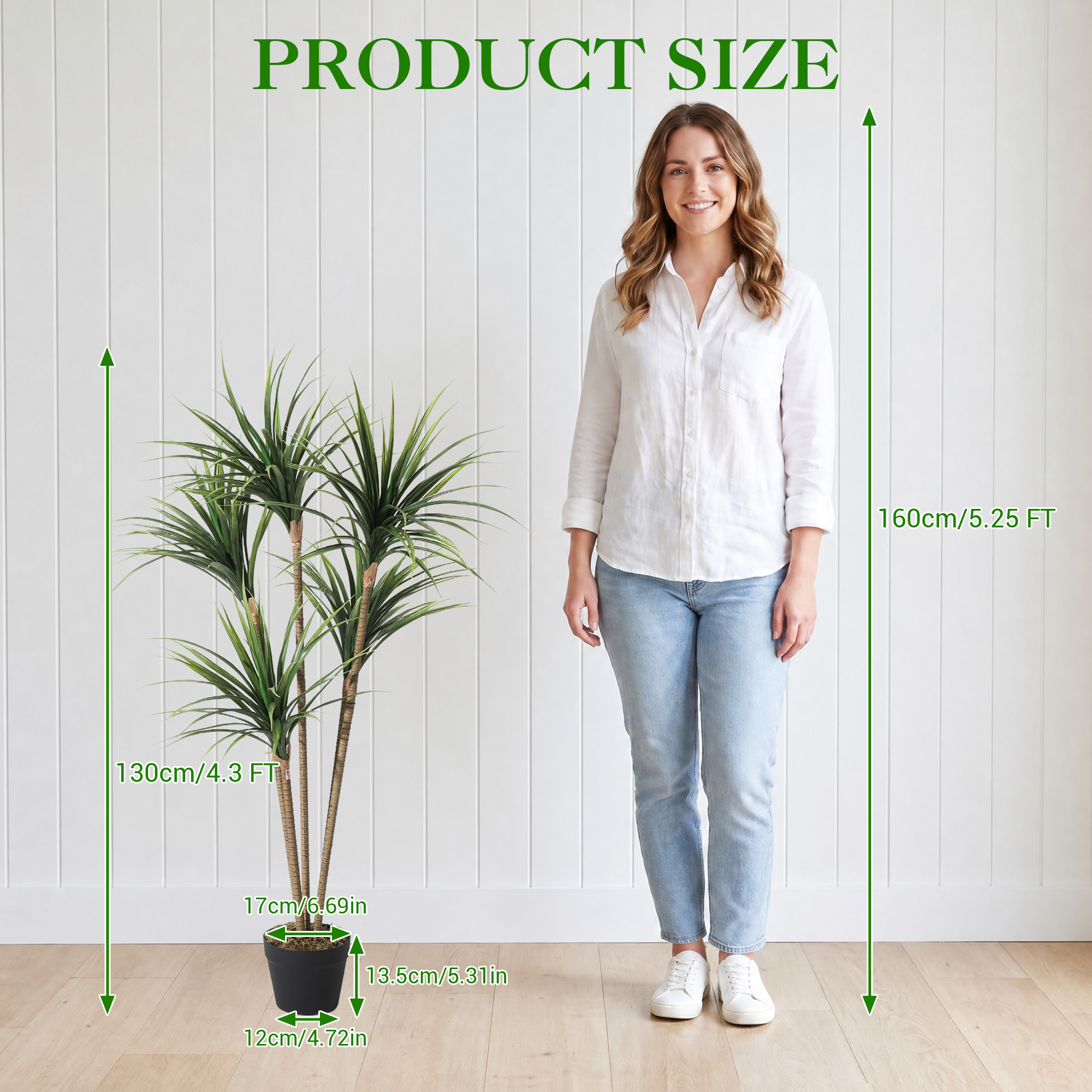 5FT 6FT Artificial Dracaena Ma - огляд і ціна Dracaena Marginata