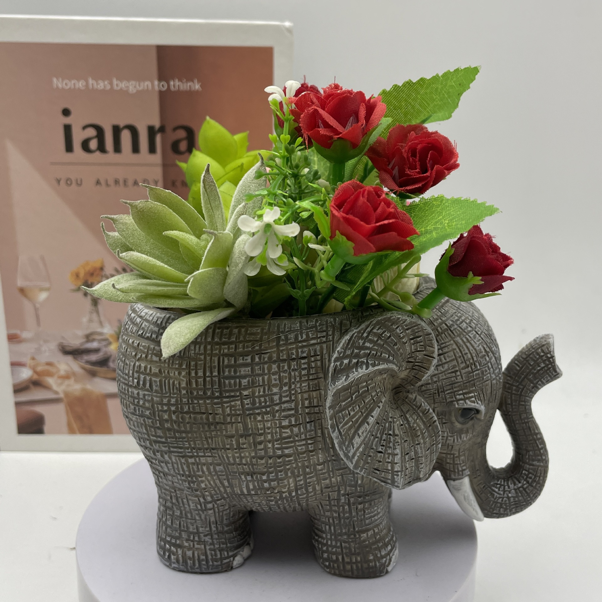 Cute Elephant Resin Succulent  - огляд і ціна Echeveria Succulent