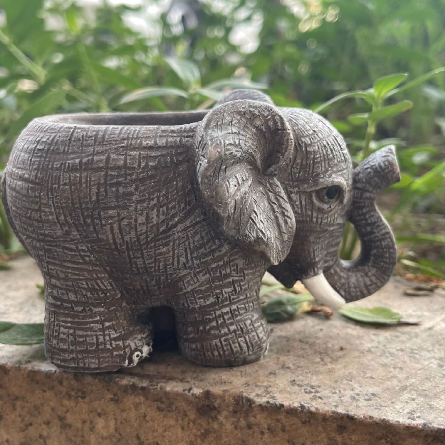 Cute Elephant Resin Succulent  - огляд і ціна Echeveria Succulent