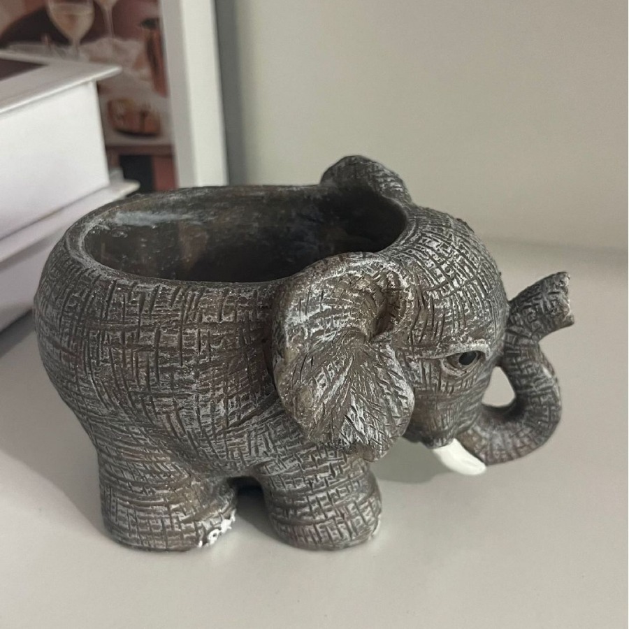 Cute Elephant Resin Succulent  - огляд і ціна Echeveria Succulent