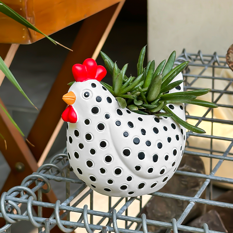 Funny Spotted Chicken Flower P - огляд і ціна Pilea Peperomioides