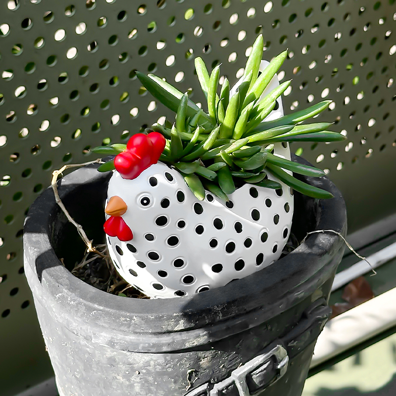 Funny Spotted Chicken Flower P - огляд і ціна Pilea Peperomioides