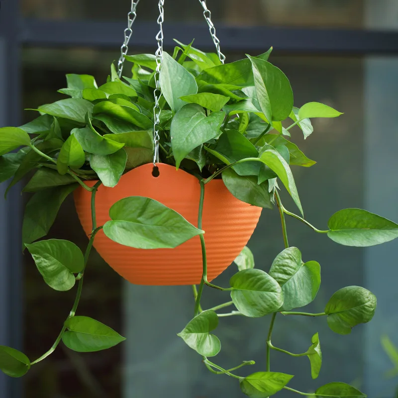 Creative Chinese Ceramic Flowe - огляд і ціна Pilea Peperomioides