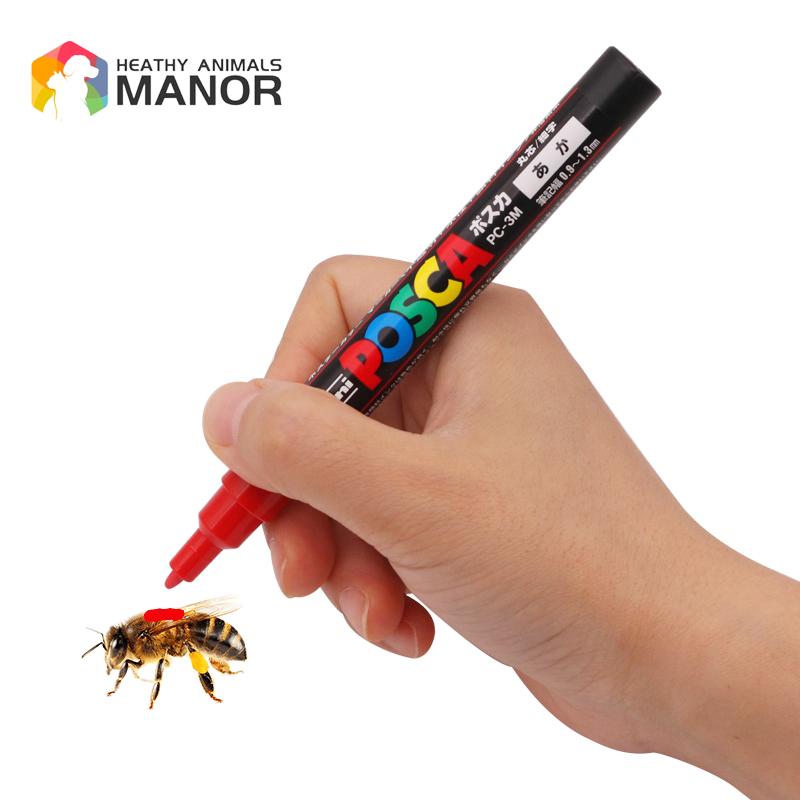 1Pcs Beekeeping Mark Pen Queen - огляд і ціна Begonia Rex